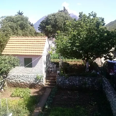 Luci * Zadvarje